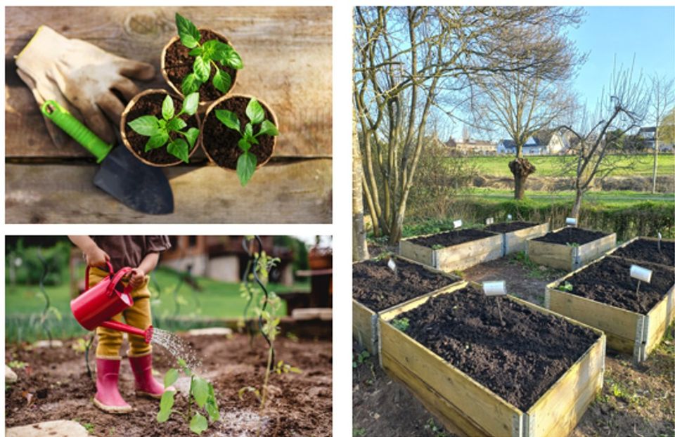 Kindermoestuin met jonge groenteplantjes, gietertje en verhoogde moestuinbakken in Harmelen. Kinderen leren tuinieren en groenten verbouwen in een educatieve moestuin op het platteland.