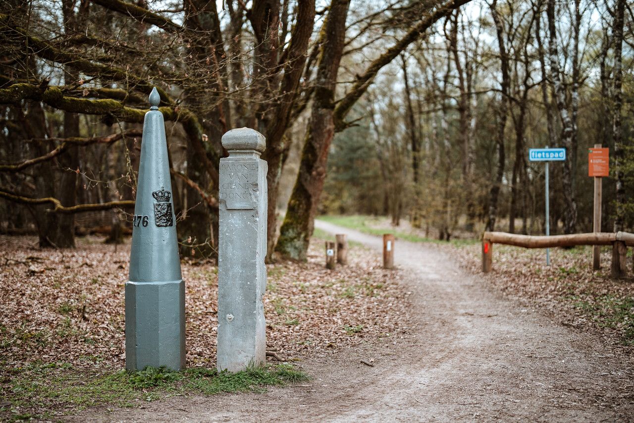 Dubbele grenspalen in het bos