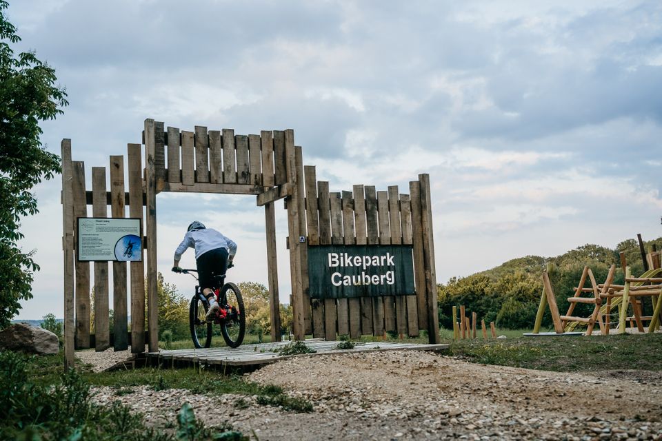 Bikepark Landal Kasteeldomein de Cauberg fietser