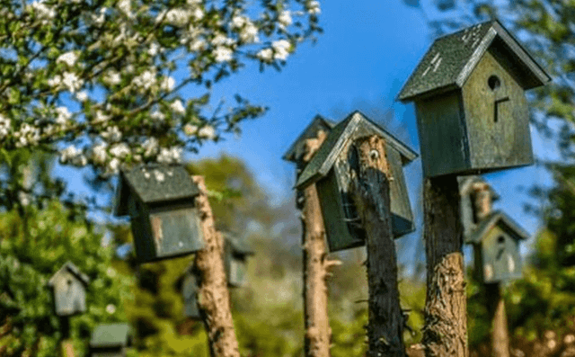 Bezoek het voedselbos in Drenthe