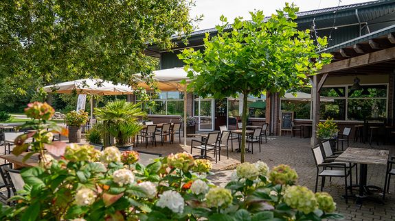 Terras