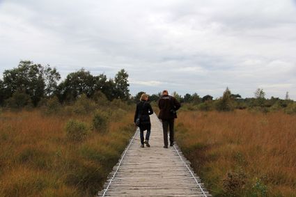 twee mensen wandelen op een knuppelbruggetje in de peel