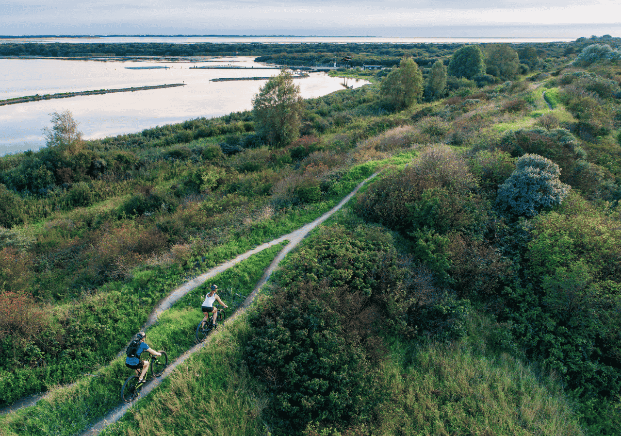Fietsen simonshaven