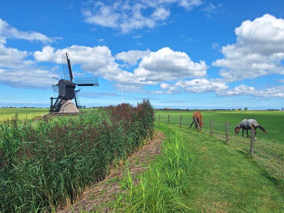 Pontje-Fietsrondje Aldegeaster Brekken