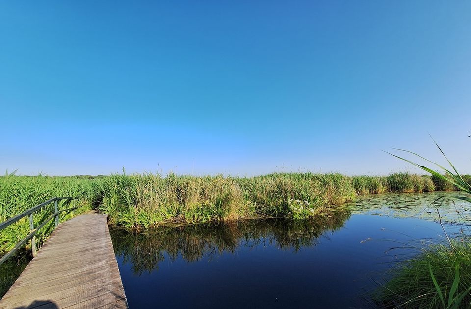 Vlonderpad in de Zouweboezem
