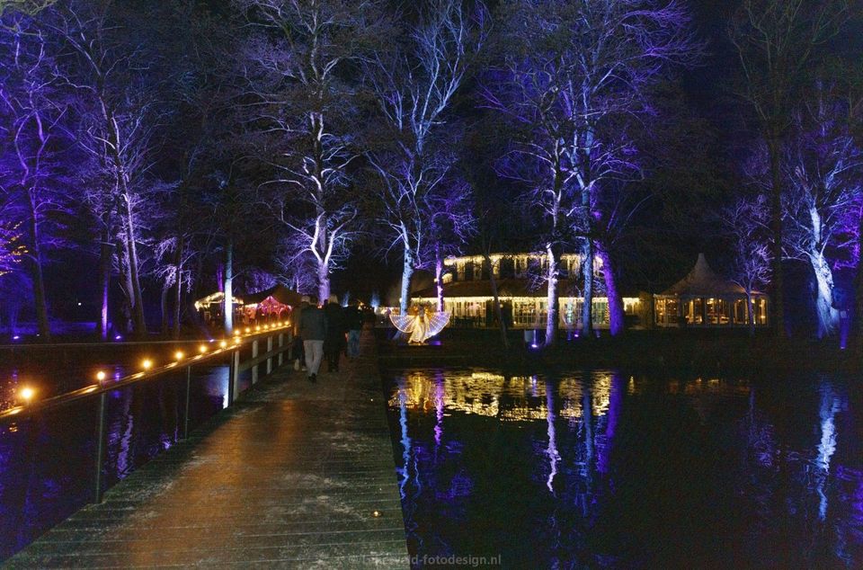 Avondfoto van een verlichte wandelroute met paarse en gouden lampen bij Buitenplaats Kameryck tijdens een winterevenement.