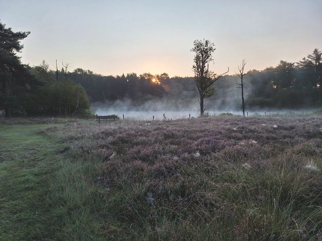 Zonsopkomst in natuurgebied.
