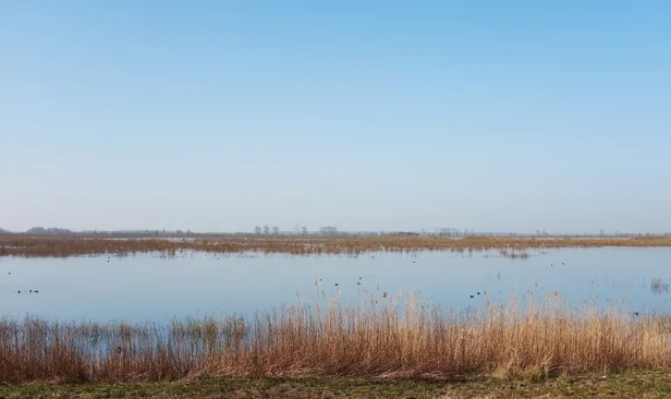 Oude Polder op Tiengemeten