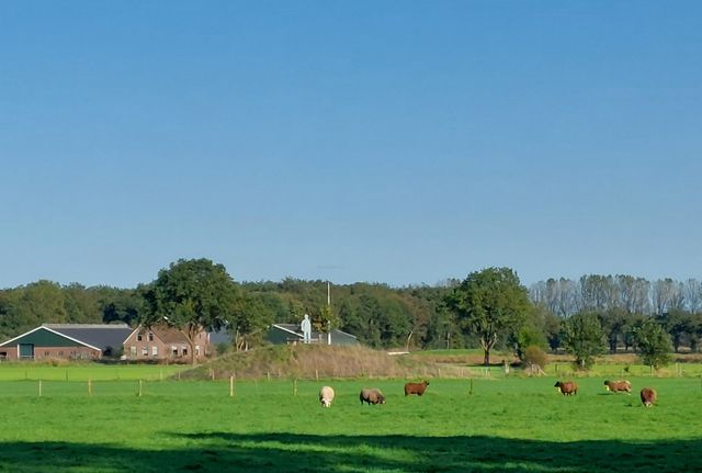 Wittesheuvel restant van Witto's Motte