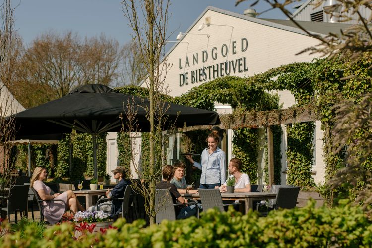 Gezelligheid op terras in Hoogeloon