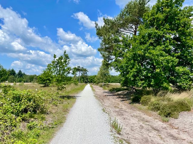 Paden door bossen en langs zandverstuivingen in Nationaal Park Utrechtse Heuvelrug