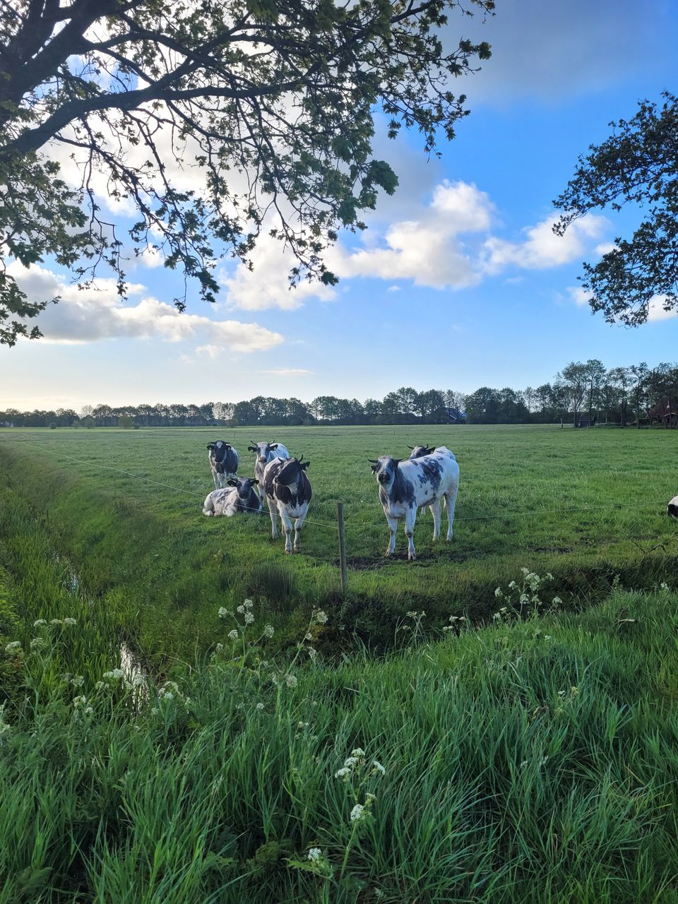 Beetsterzwaag - Ureterp | Koningspad XL: etappe 10