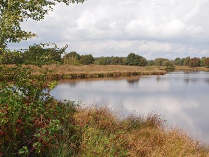 Het Zwarte Gat © Hans Dekker-Het Drentse Landschap