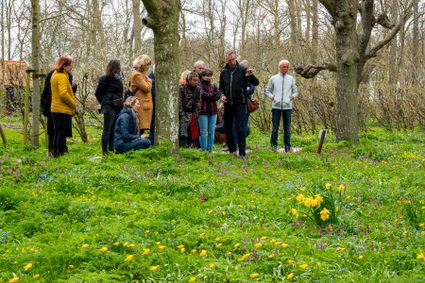 Mensen in een park bloemen aan het bewonderen.
