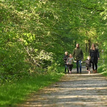 noordsche veld wandelen