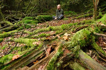 Zintuigenwandeling