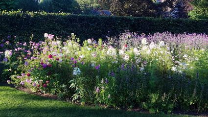 Tuin aan 't Leusveld
