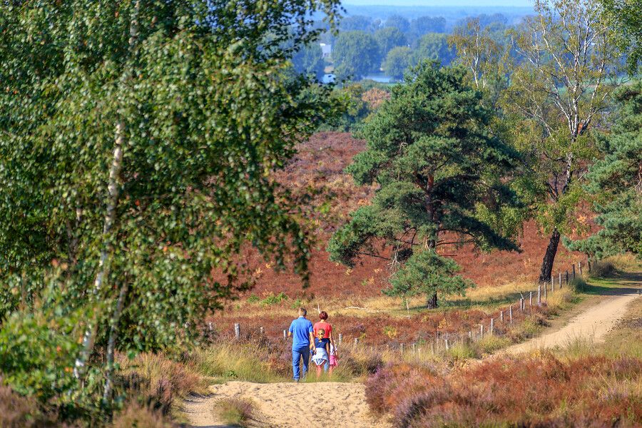 Wandelen Mookerheide
