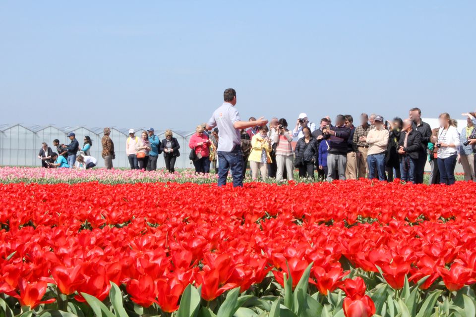 Excursie over de tulpen