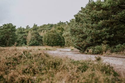 kamerven en -heide stiphout