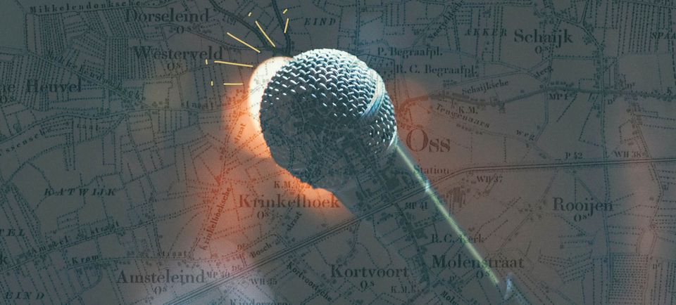 Programmering van Theater de Lievekamp