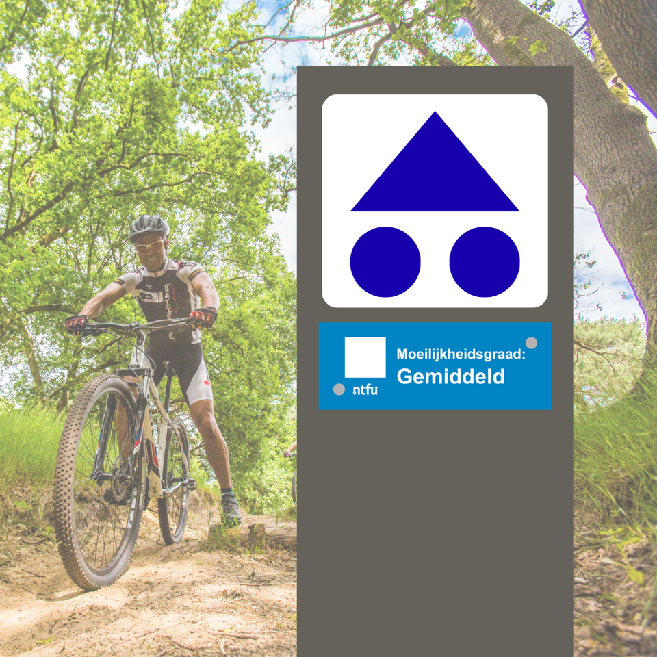 Volg de blauwe bewegwijzering van de driehoek met twee rondjes. De bordjes vind je op palen langs de route.