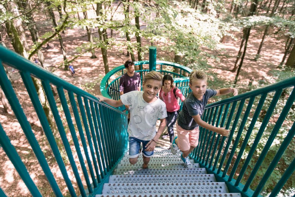 Eine Familie mit zwei Kindern geht die Treppe des Baumkronenpfads hinauf