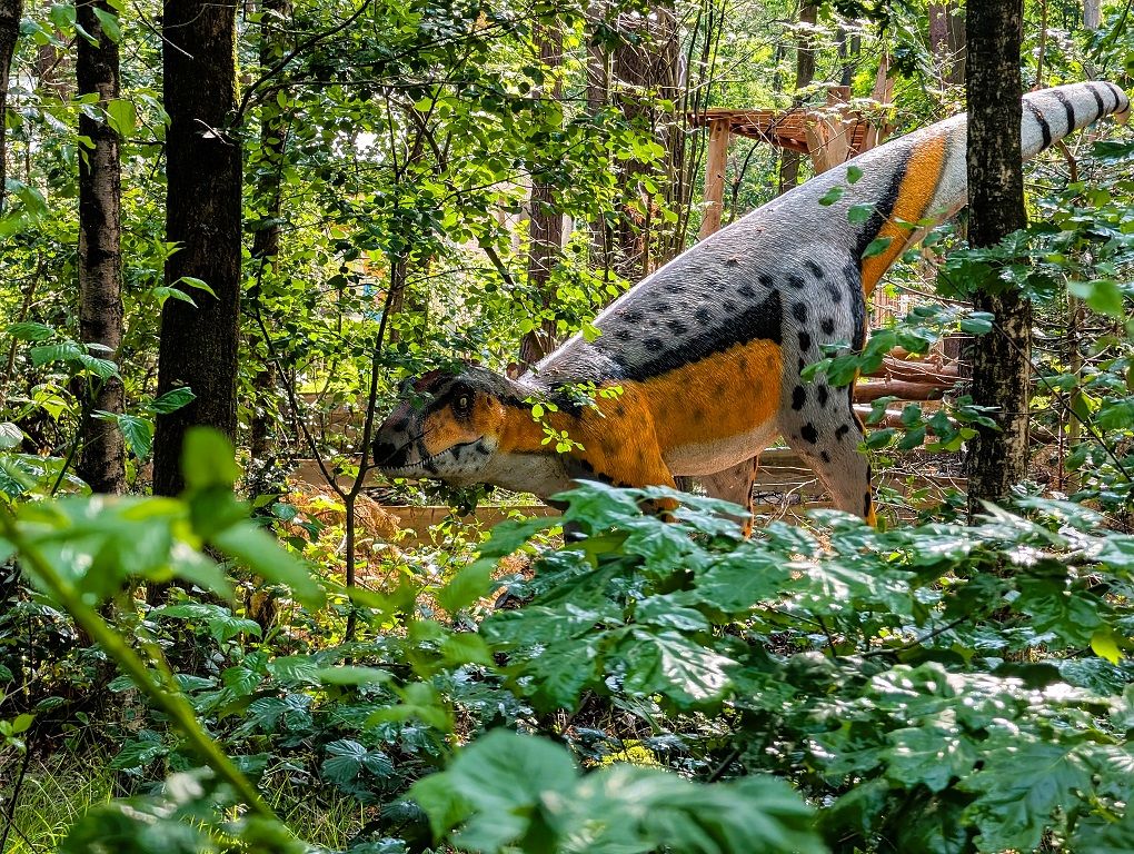 Dino adventure Perfect voor echte avonturiers