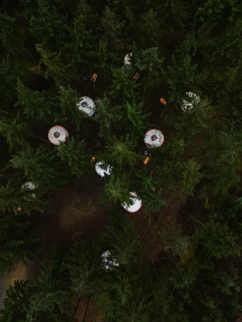 Dronefoto in het bos van Nomadsland