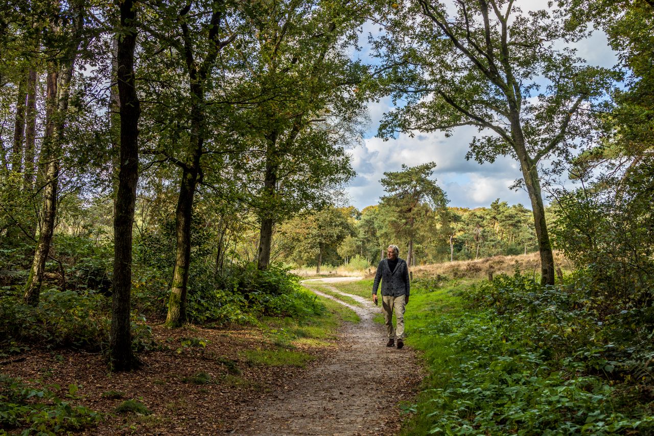 Man die wandelt over een pad in het Hernense bos