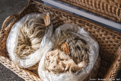 Workshop Voorjaarswolkrans