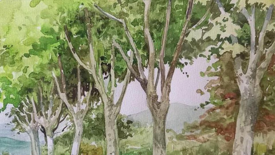 Expositie | Meester Straaijer & Zn