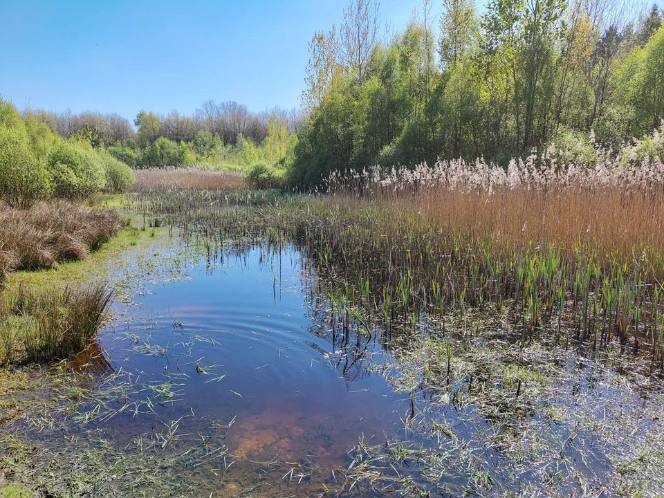 Wolvega - Blesdijke - Lendevallei | Bonifatius Kloosterpad: rondje 10