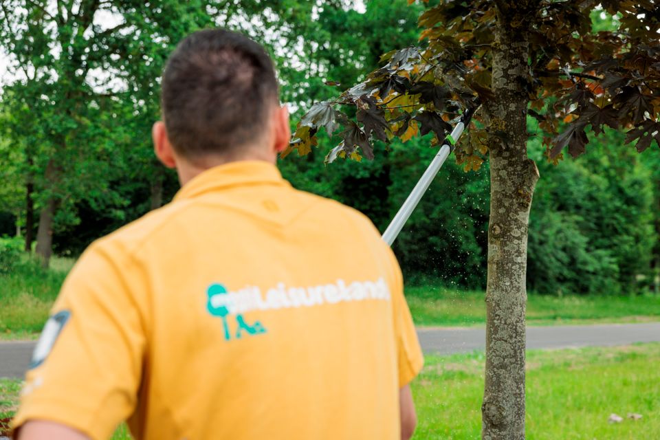Collega buitendienst snoeit de bomen.