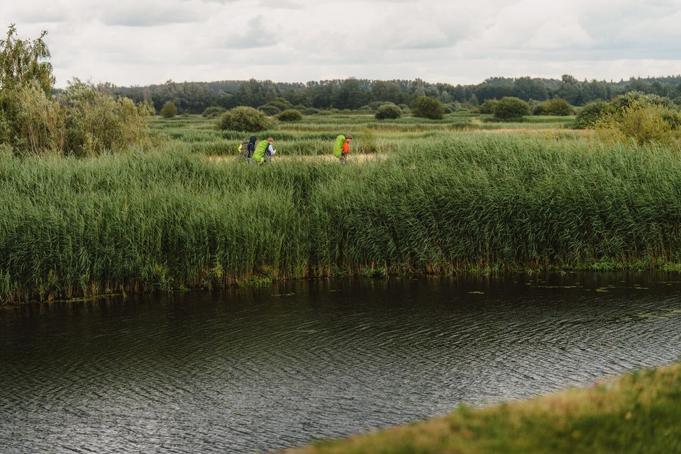 Wandelaars met rugzak in Het Bossche Broek