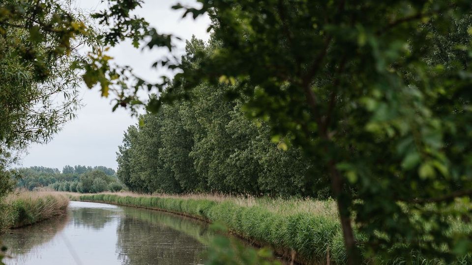 Water en groen bij natuurgebied de vliegers