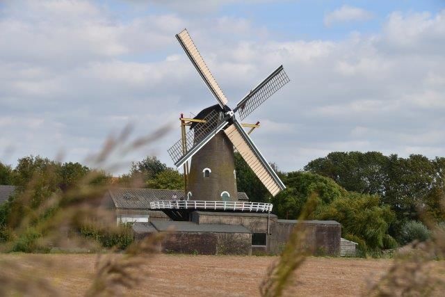 Korenmolen de Oude Molen