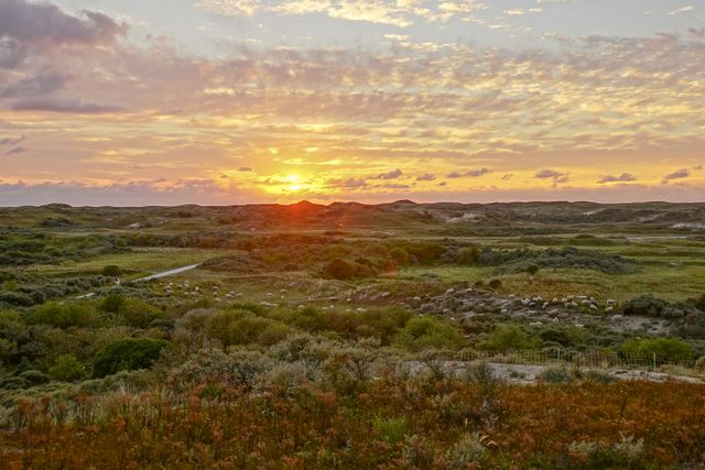 Natuur zonsondergang duinen