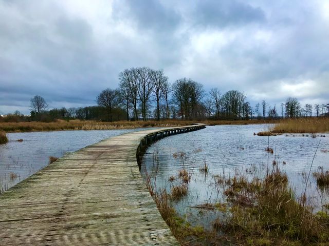 Empese en Tondense Heide