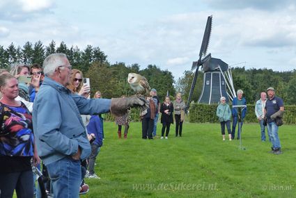 Roofvogelshow bij museum De Sukerei