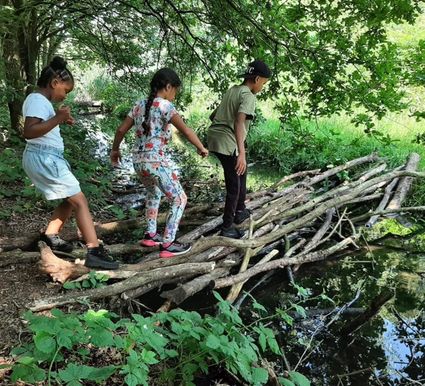 Kinderen lopen over een omgevallen boom