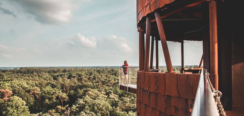Uitzicht Bosbergtoren Appelscha