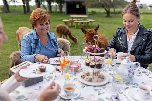 High Tea met alpaca's