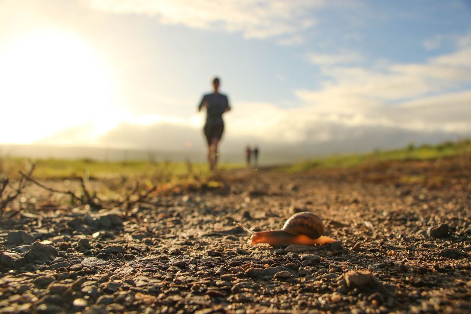 Otterlo trailrun winter editie