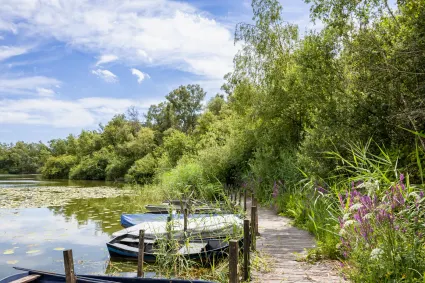 Kolkven Oisterwijk in de zomer