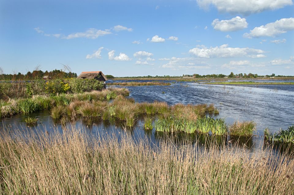 Nationaal Park De Alde Feanen en Grou | Sloepenroute