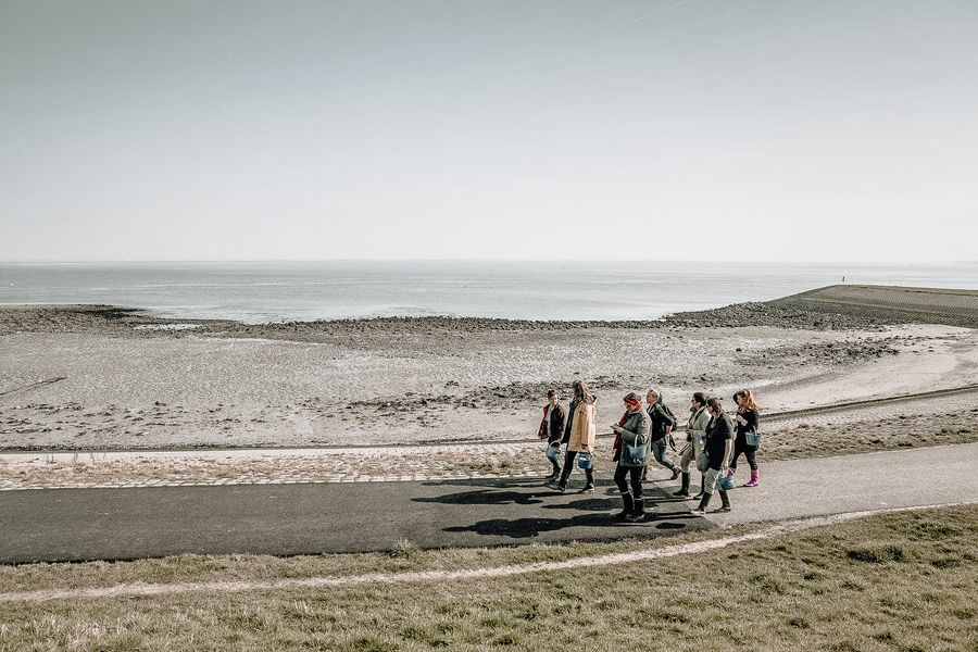 Oesters plukken in Zeeland met Oesttour