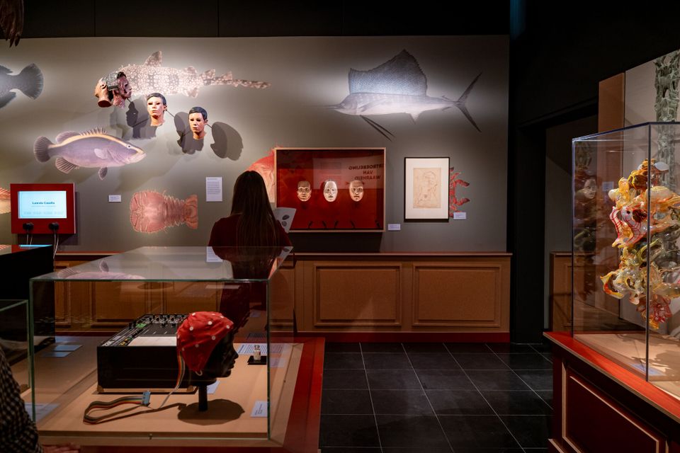 Tentoonstelling Waarheid? Kunst van de twijfel