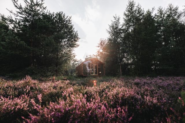 Een cabin in het bos met paarse heide op de voorgrond.