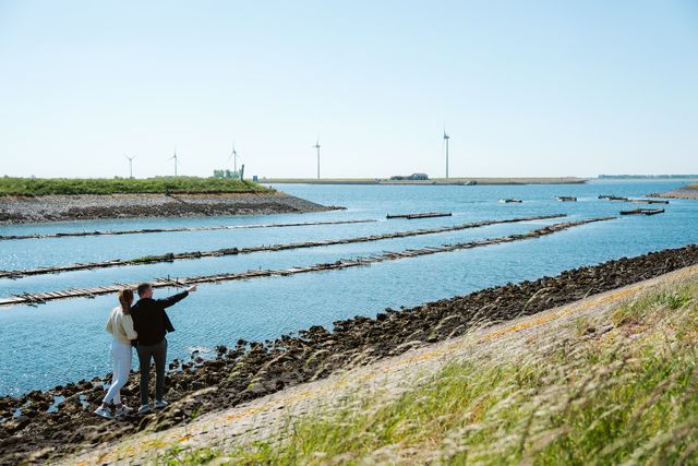 Op-Schouwen-Duiveland-mosseldorp-Bruinisse